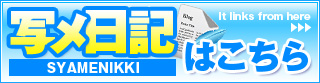 写メ日記